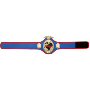 GOLD PRO288 CUSTOM CHAMPIONSHIP BELT  ***BEST SELLER***